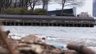 Sweet Thames Flow Softly: Barb Jungr