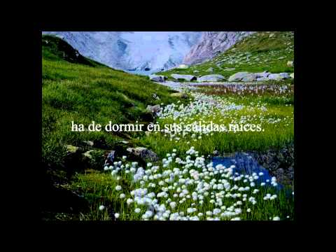 Nargaroth - Frühling (Sub - Español/English)