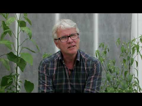 Filmen från WIJ Trädgårdar. Sweden Green House