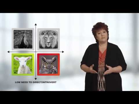 Promotional video thumbnail 2 for Image Development Group, Inc.