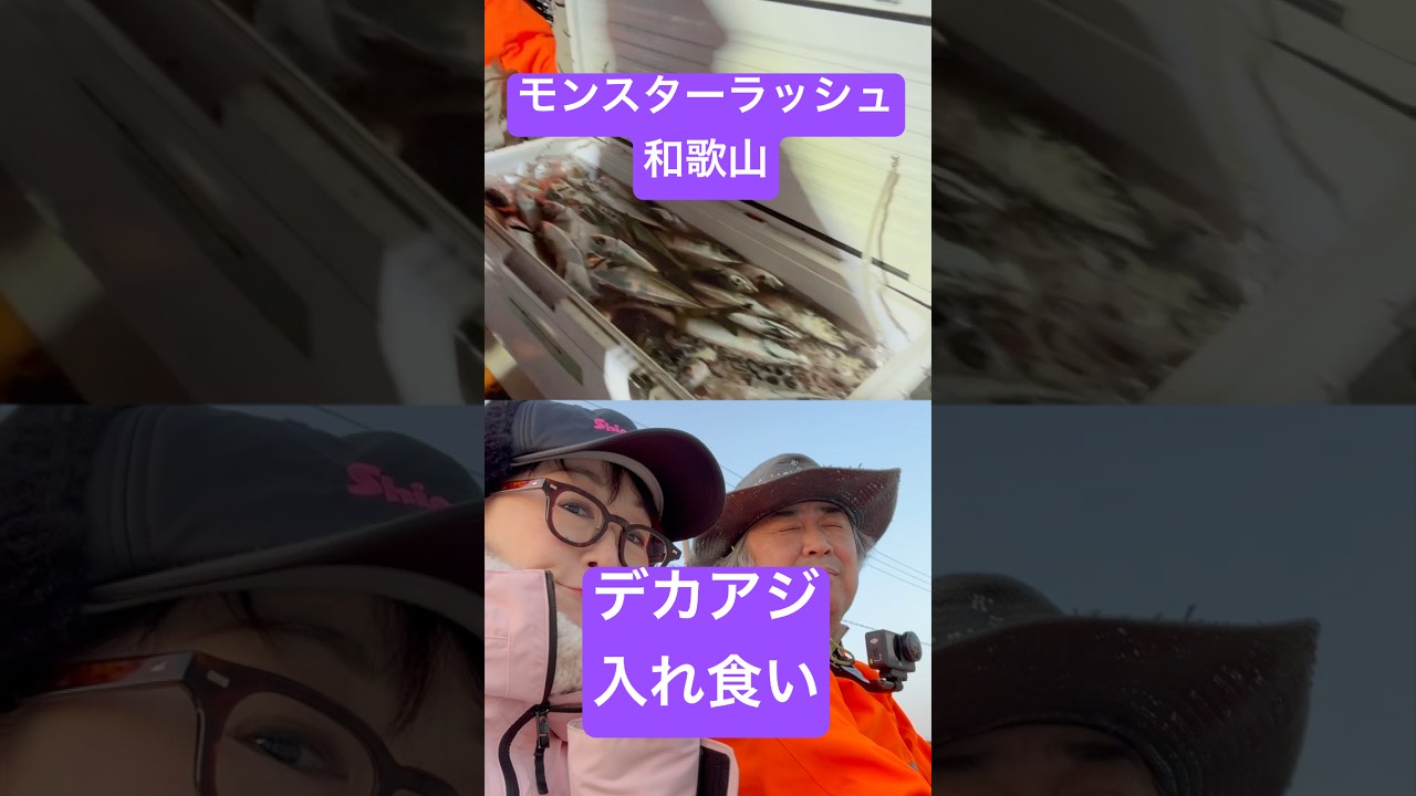 和歌山アジング #尺アジ #入れ食い ‼️ モンスターラッシュ #アジング #バチコン