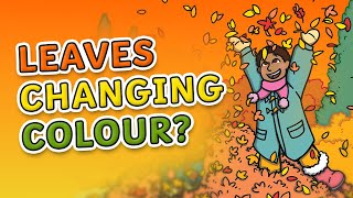 Why Do Leaves Change Colour in Autumn? | Autumn for Kids!