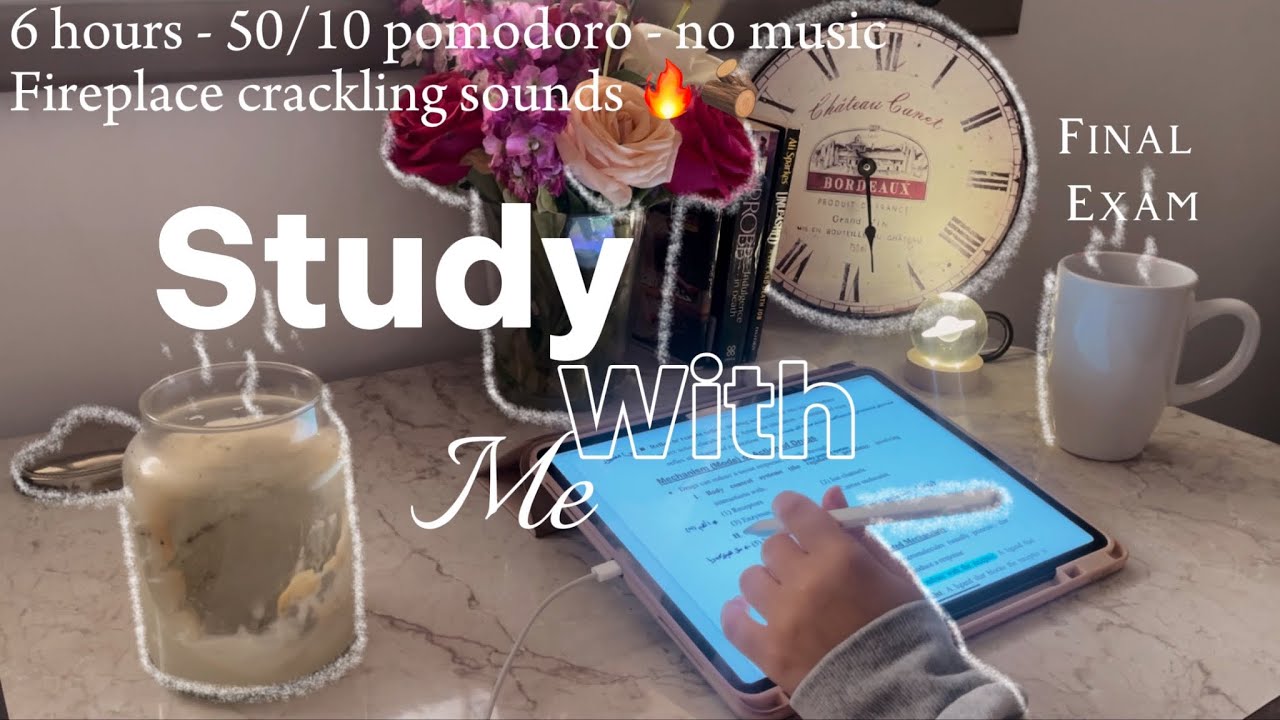 6-HR study with me for my final exam * revision day * 🩻 | 50/10 pomodoro - no music - med school