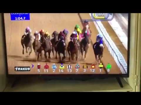 Dubai World Cup 2017 - Arrogate