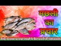 Machali Ka Prachar 98 89 89 90 83 7518291791प्रचार बनवाईये 300रू म�