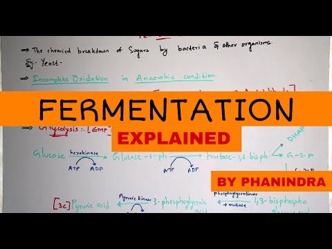 GLYCOLYSIS OR EMP PATHWAY BY PHANINDRA GUPTHA