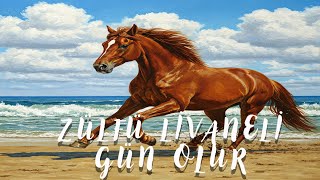 ZÜLFÜ LİVANELİ - GÜN OLUR