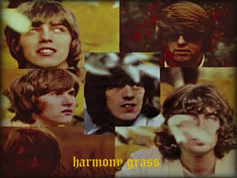 harmony grass  - I've Seen To Dream - 1969