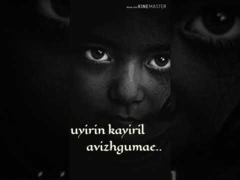 Download Ora Parvai Veesuvan 3gp Mp4 Codedwap codedwap