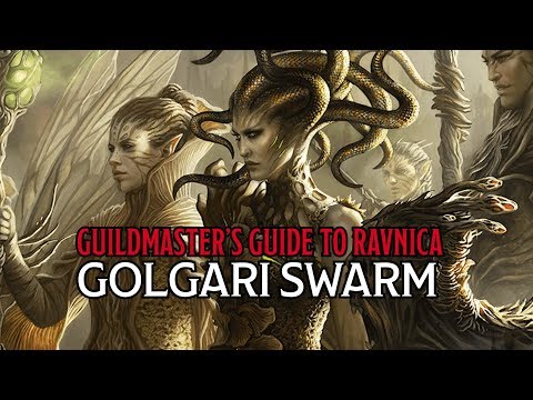 Golgari Swarm in 'Guildmaster's Guide To Ravnica' | D&D Beyond