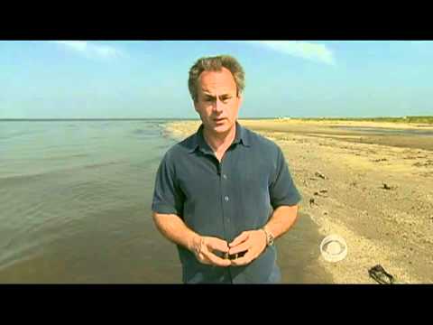 What became of the oil from the BP spill?