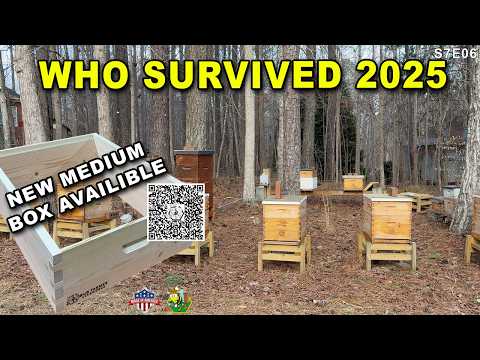 Who Survives 2025?  | Looking into a few hives on a warm day and sharing new HIVEWORKS medium box.