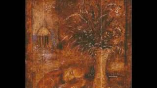 mewithoutyou - i never said i was brave.wmv