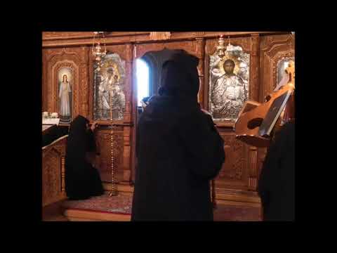 20200315 NICOLAE BALASOIU – DUMINICA 2 DIN POST – DUMINICA SF  IER  GRIGORIE PALAMA – VINDECAREA SLA