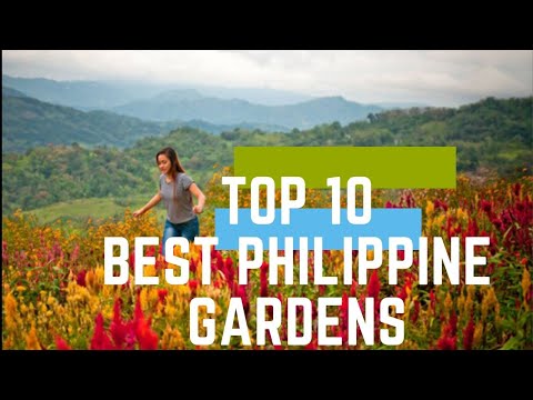 TOP 10 GARDENS IN THE PHILIPPINES (SLOWER VERSION AVAILABLE)