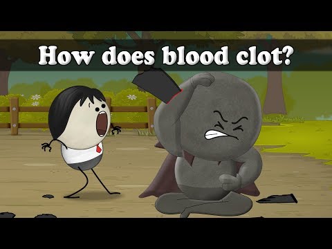 血液はどうやって固まるの？| 彡(ﾟ)(ﾟ)(ﾟ) (How does blood clot? | #aumsum)