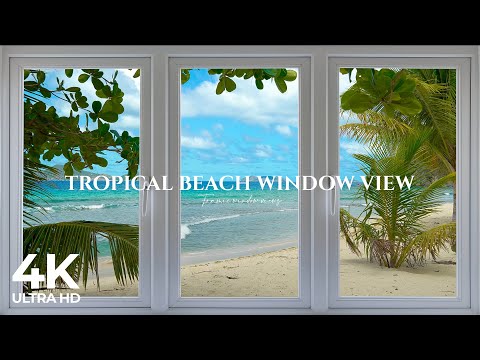 4K Tropical Beach window view in the Caribbean - Palm Trees, Ocean Sounds, Waves, White Noise