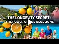 The Longevity Secret Discovering The Discover The Power Of The Blue Zones