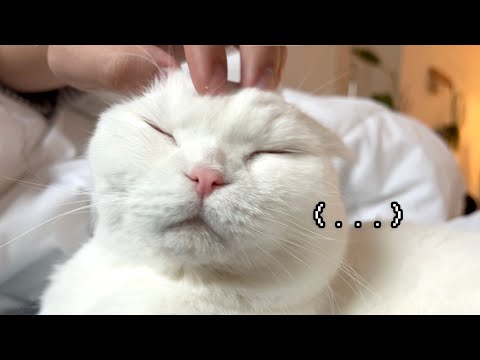 엄마아빠는 왜 주말에는 출근을 안 할까..