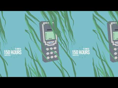 TE dness - 150 Hours (mega freestyle)