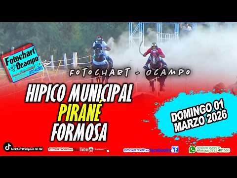 HÍPICO MUNICIPAL - PIRANÉ.FORMOSA- Resumen de la Reunión del 01/03/2026