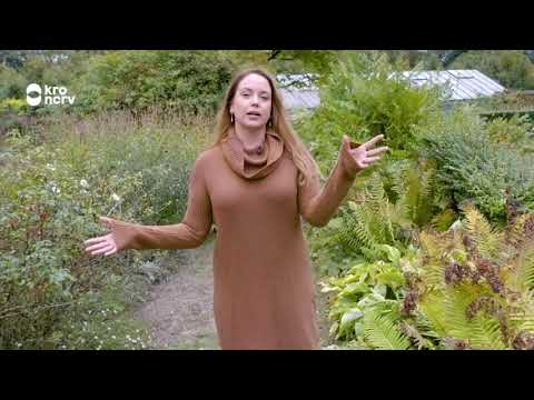 Je tuin winterklaar maken | Duurzaam tuinieren met Anne