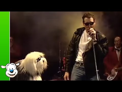Samsonrock video