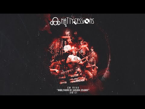 Dub Natty Sessions En Vivo "Sabana Grande" Caracas/Venezuela 2012