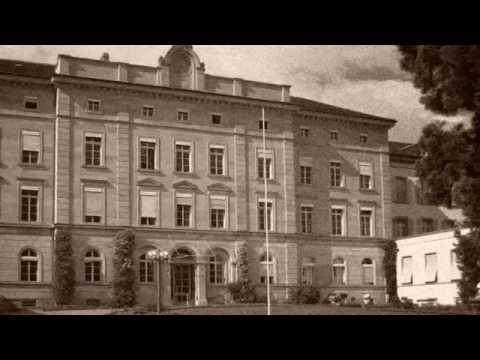 7 - Piaget and cognitive psychology