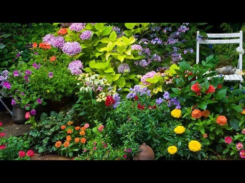 my small garden tour 😍#garden #gardening #flowers #plants #youtube #foryou  @shardul.vlogs77