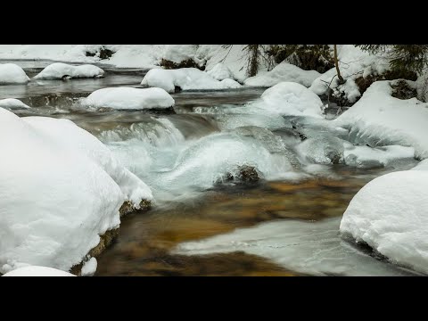 Studený potok a Roháčsky vodopád