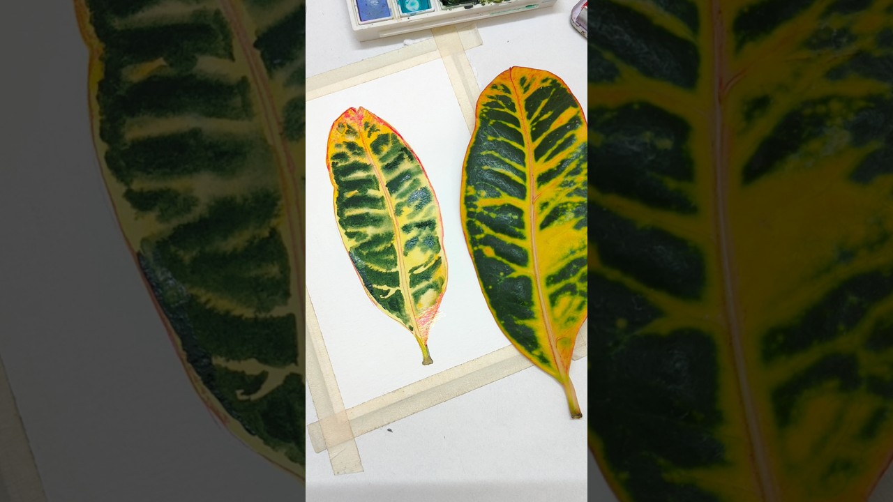 Let's paint a simple Croton leaf