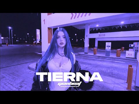 [FREE] REGGAETON BEAT - 'TIERNA' | Type Beat Bad Bunny