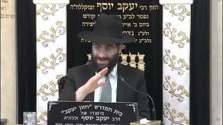 הרב משה יוסף • דיני בורר בכלים