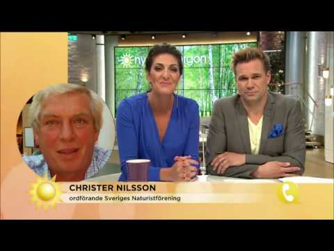 Hur fungerar nakenbad egentligen? Nakenbadsetikett i Nymo! - Nyhetsmorgon (TV4)