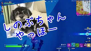 230307れそちゃん初めまして。
