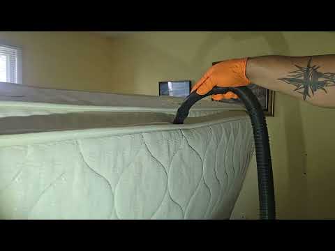 Bed Bugs Love the New Mattress in South...