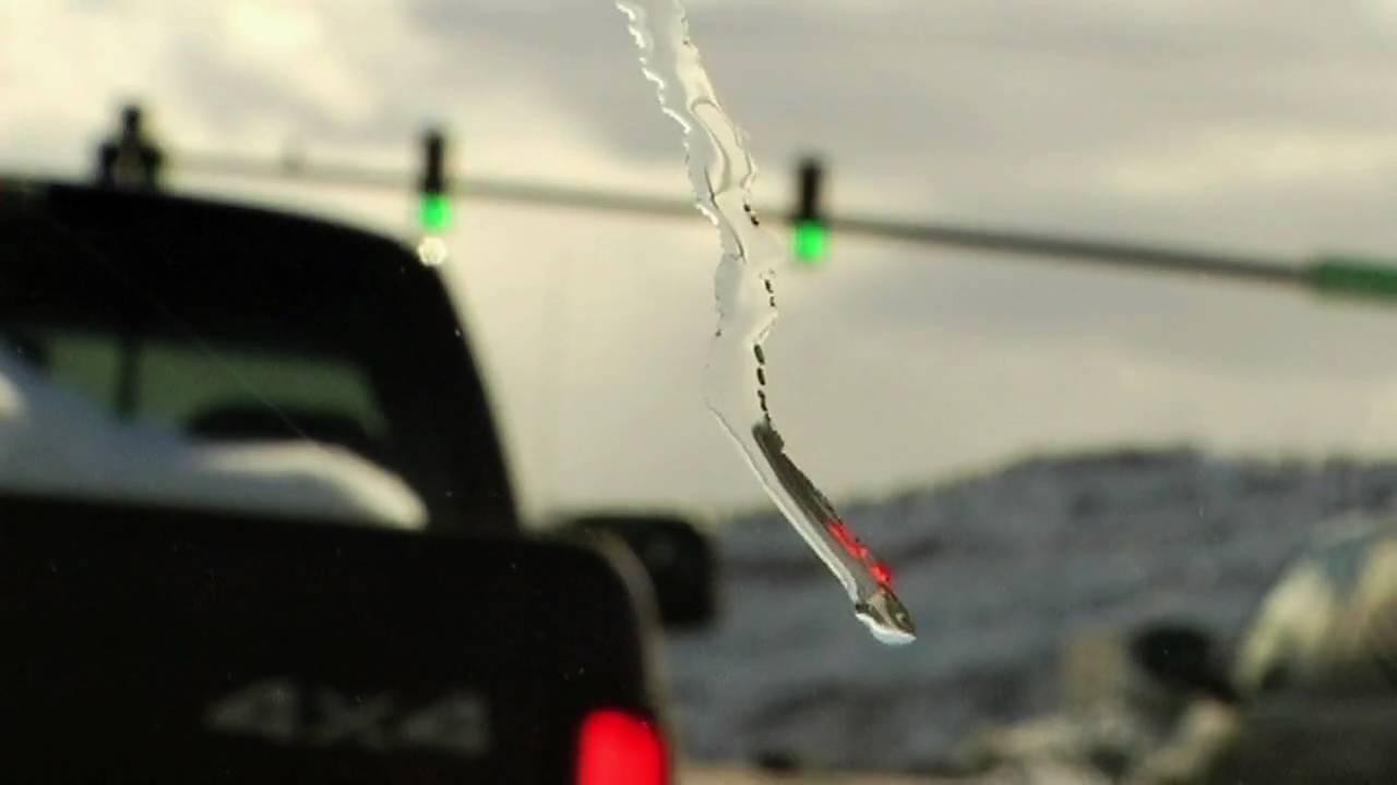 OWNING THE WEATHER TRAILER