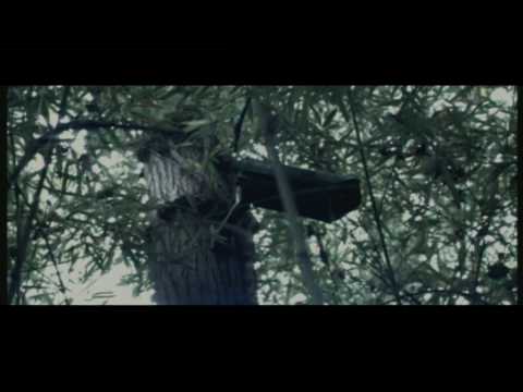 Paintball - Bande Annonce VF