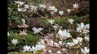 Magnolia Lunch &amp; Learn