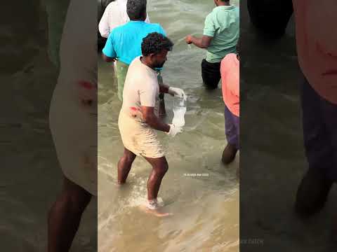 50+ Contestants, 1 Bottle, 1 Fish—Chaos Guaranteed! #fishing #fishingtechniques #mulletfishing