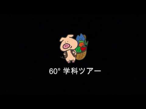 【VR動画】麻布大学 食品生命科学科「360°学科ツアー」