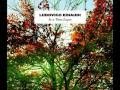 Ludovico Einaudi - Experience 