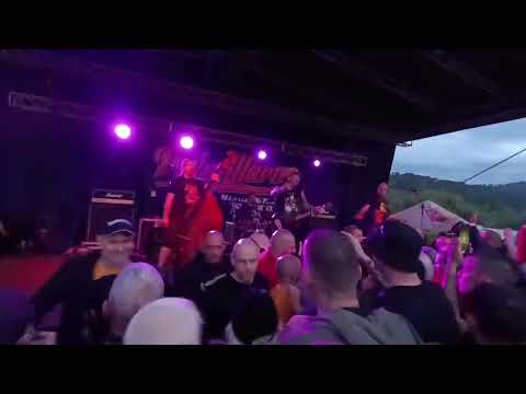 White trash Gigolo - Pitbullfarm  (LIVE)