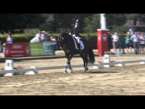 Fashion Maker & Rock on Top - Westfalenwoche Münster-Handorf 2015 - Finale