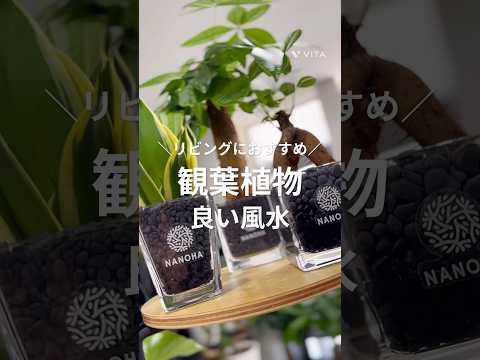 bac-a-fleurs--balconiere-metal-plantes-succulentes