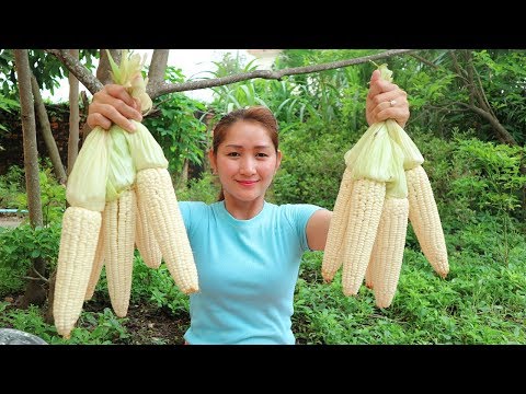 Yummy Corn Porridge Sweet - Corn Porridge Sweet - Cooking With Sros Video