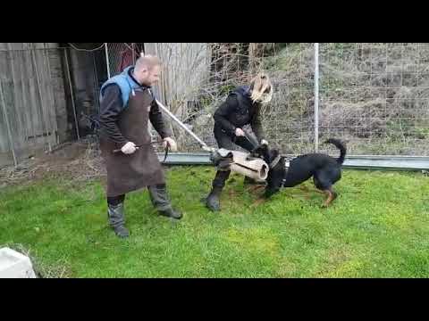 Honey vom Schwarzen Grat