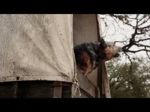 ANY LAST WORDS? Official Trailer (2012) - Tom Lagleder, Vaughn Taylor, Elizabeth Tinder