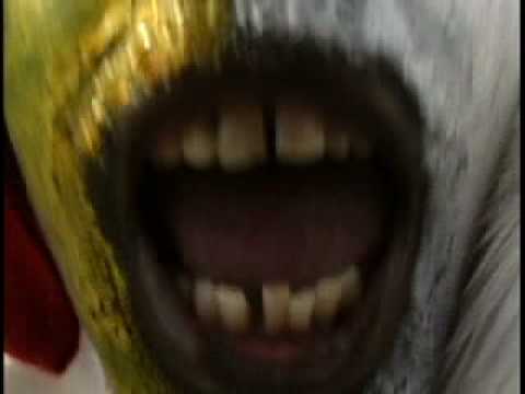 Give it Up Music Video by Alan Steward Exclusive Preview